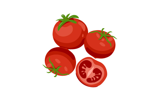 有机蔬菜番茄矢量图片