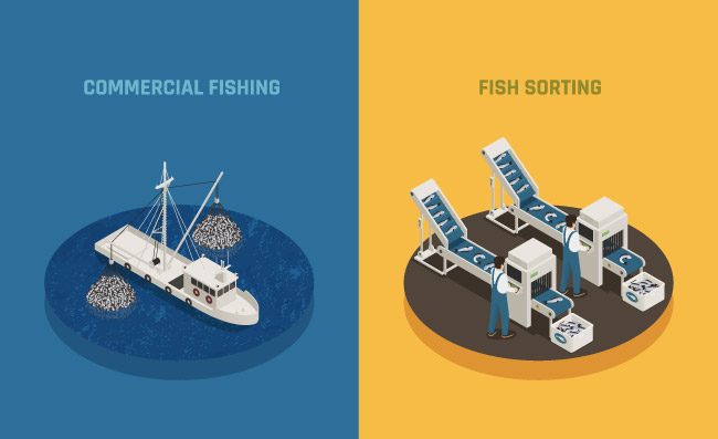 鱼业海鲜生产渔船非法捕捞商业捕鱼工业生产
