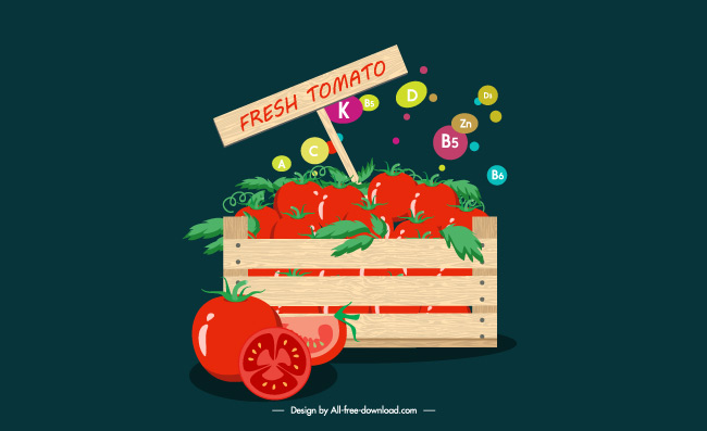 装箱的番茄西红柿蔬菜矢量