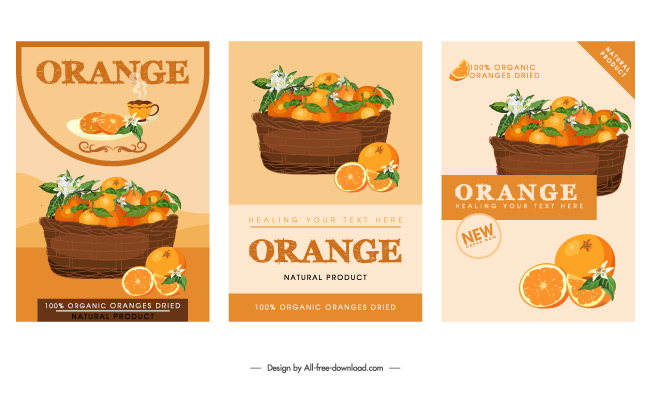 装在篮子里的橙子当采摘的精品纽荷尔脐橙原产地现摘橙子产地直销柑橘园一级果素材
