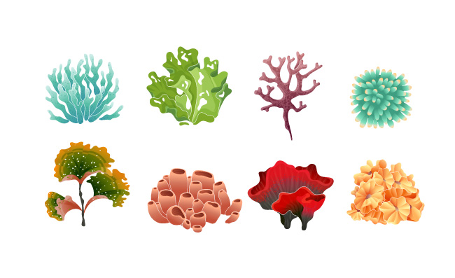 海洋植物卡通素材图片