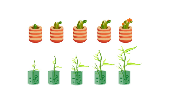 记录植物卡通盆栽生长过程素材图片