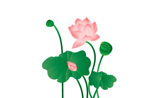 花13