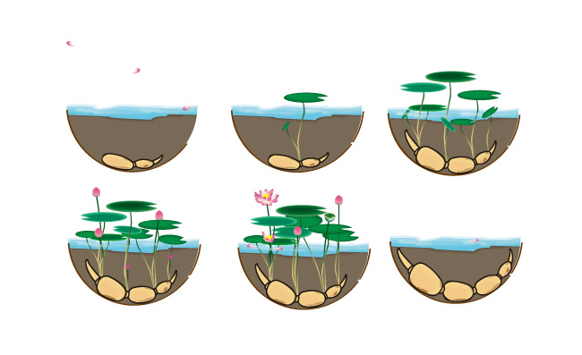 莲藕生长过程手绘荷花花朵荷叶元素