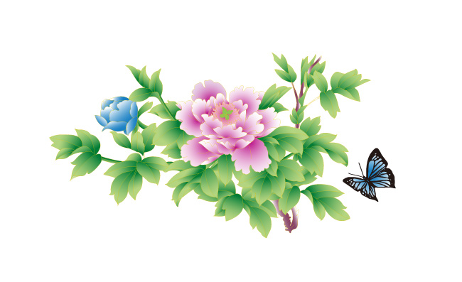 牡丹花图片