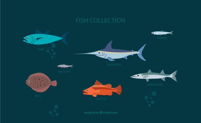 7款彩色海洋生物鱼类矢量素材