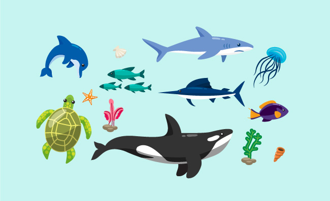 15款彩色海洋生物设计矢量图