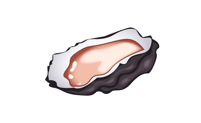 手绘黑色贝壳插画元素