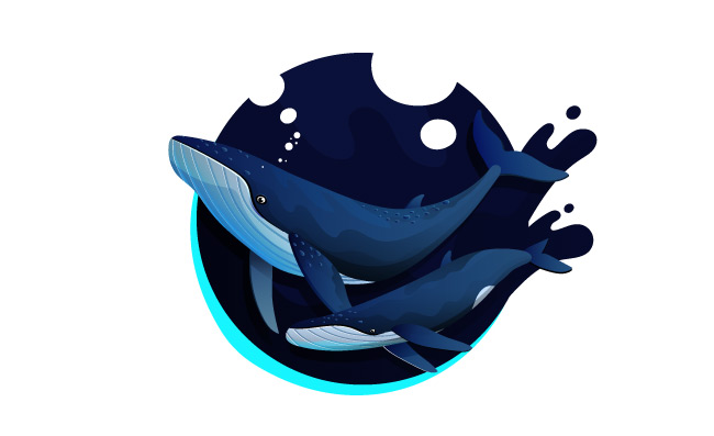 大海生物鲸鱼动物素材