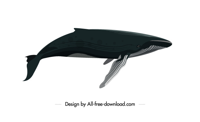 大鲸鱼图标卡通素描