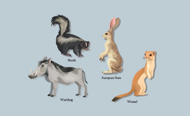 动物教育设计元素臭鼬疣猪兔黄鼠狼素描免费矢量图