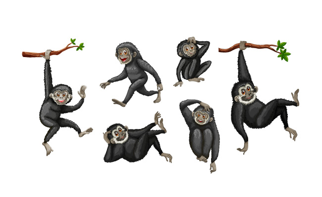 动物矢量素材猴子矢量图