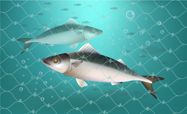 动物鱼类卡通素材图片