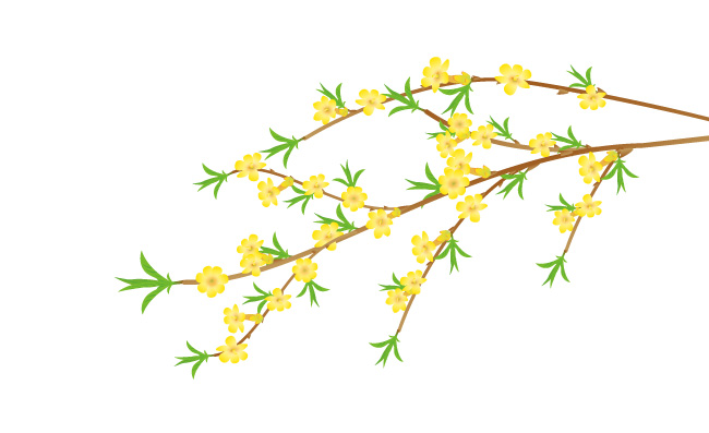 手绘卡通植物迎春花素材图片