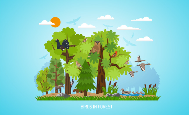 海报在森林里森林海报与不同的树木池塘各种鸟类和少量动物在蓝色背景平面矢量图