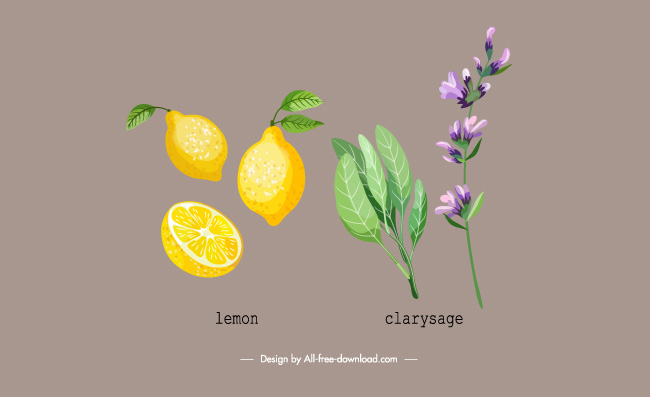 有机植物柠檬彩色果叶花卉素材
