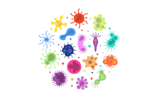 细菌流行性病毒生物学过敏性微生物细菌感染流感疾病细胞疾病