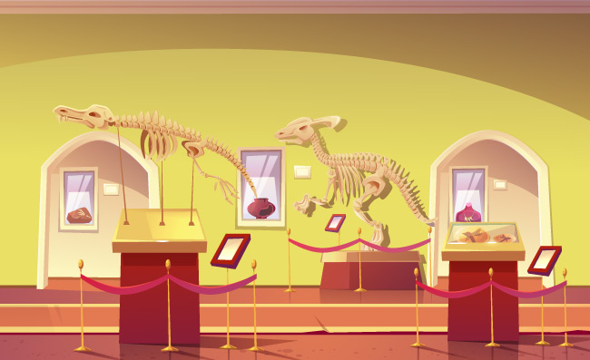 恐龙骨化石历史博物馆展览的文物古生物学考古学卡通矢量图解
