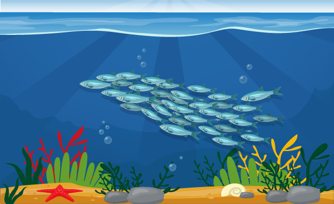 美丽海底银色鱼群矢量素材