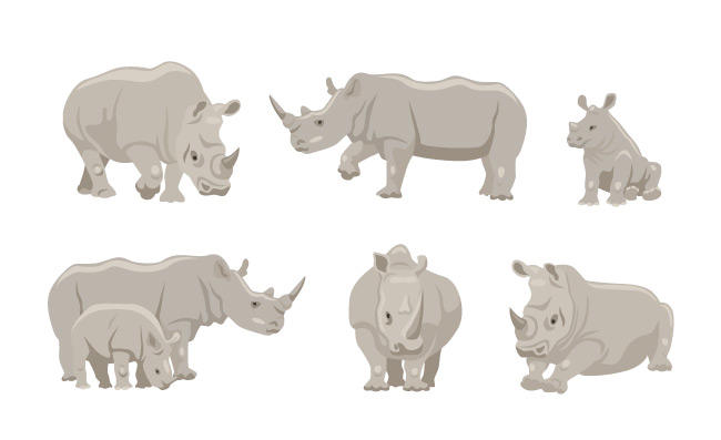 年轻的动物灰色犀牛卡通角色不同位置行,躺着和坐着插图集