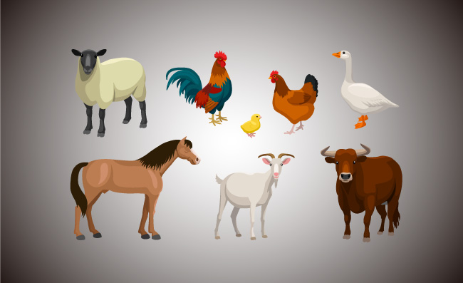 农场动物复古套装矢量插图