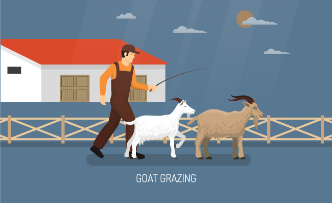 农场动物设计理念农场动物和奶牛家禽场山羊放牧和工作场所描述矢量插图3