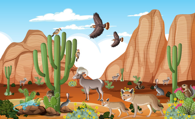 沙漠动物素材图片
