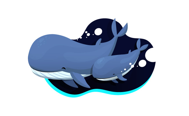 生物鲸鱼动物素材