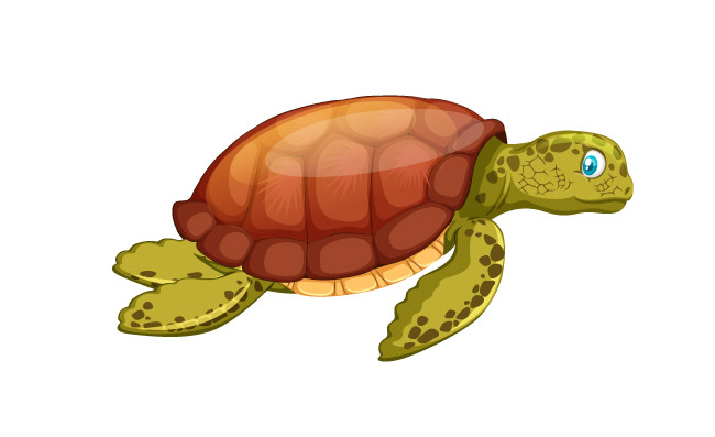 乌龟图标彩色卡通素描闪亮的现代设计