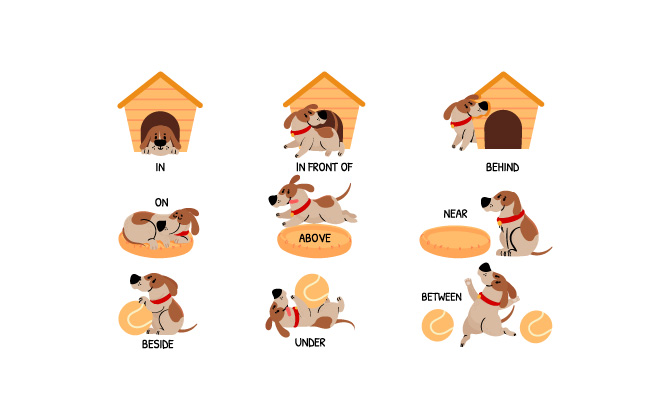 英语介词与可爱的动物在狗屋后上方附近和下方的卡通狗碗学习单词孩子教育矢量集带有球的漫画人物用于学习视觉材料矢量集