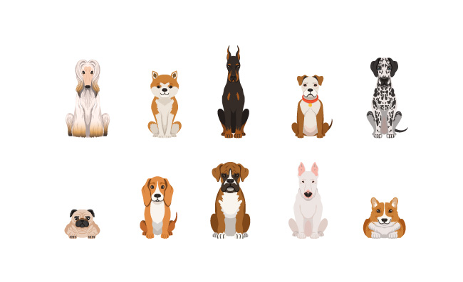 在卡通风格的有趣的狗插图家养宠物动物狗有趣的矢量品种卡通狗在卡通风格的有趣的狗插图家养宠物图片