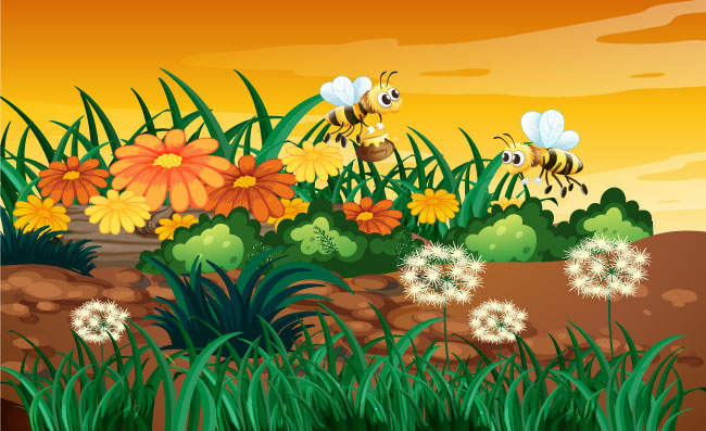草地小蜜蜂采花蜜蒲公英场景图