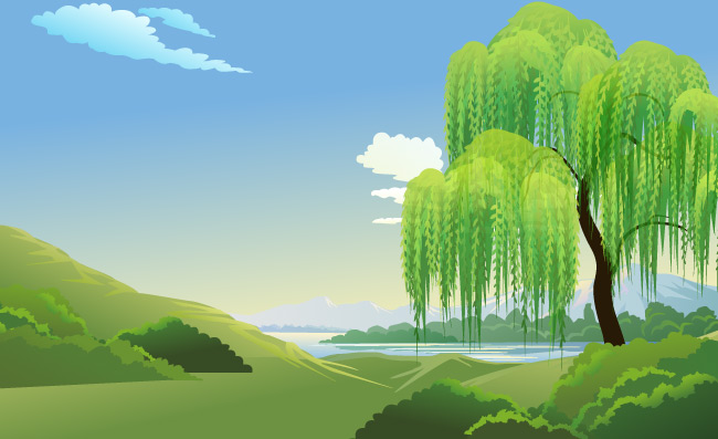 垂柳简约小清新春天风景
