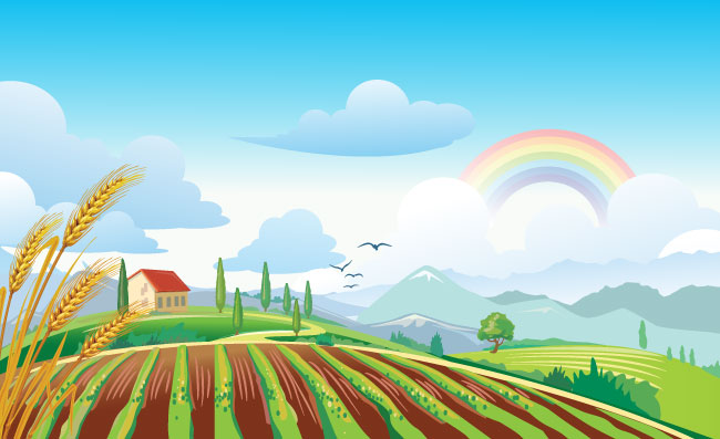 带彩虹的田野风景