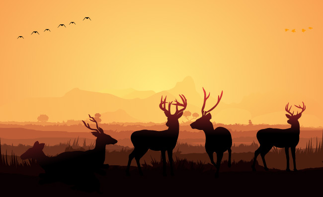 非洲大草原景色鹿的剪影素材