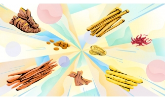 插画风格MG动画制作步骤：商家追捧的创意新宠