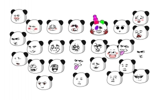 万能熊猫脸表情动态an素材